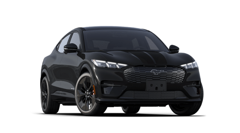 Mustang Mach-E® vehicle